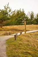 Hiking trail over a wooden footbridge to the high dune on the darss. National Park photo