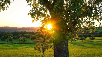 puesta de sol en el sarre en un prado con árboles y vistas al valle foto