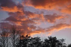 puesta de sol en las afueras de berlín. el cielo parece arder foto