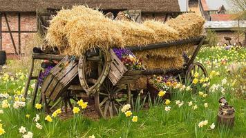 hay wagon for thanksgiving. decoratively displayed. photo