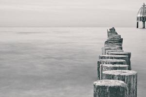 groynes at the baltic sea in black and white with a lot of structure photo