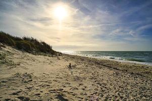 west beach on baltic sea beach. detailed and textured still life. photo