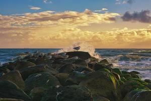 On the beach in Blavand, Denmark. Stone groynes where the waves crash. photo