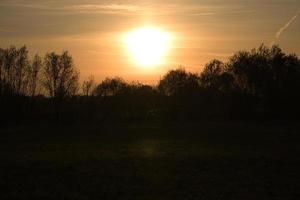 puesta de sol en las afueras de berlín. pájaros en el horizonte, el cielo parece arder foto