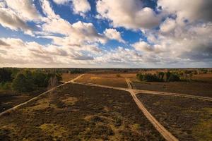 in the neuruppina heath. in autumnal light mood. photo