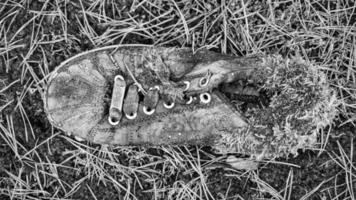 rotting shoe in forest overgrown with moss and forgotten photo