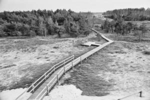 Hiking trail in black and white, over a wooden walkway to the high dune on the darss photo