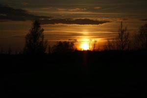 puesta de sol con cielo ardiente detrás de los árboles. foto