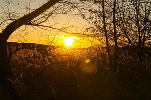 Setting sun on the outskirts of Berlin. The sun shines through the trees. photo