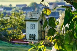 Birdhouse hanging from a tree. photo