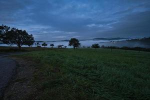 árbol en un prado con niebla en las horas de la mañana con un estado de ánimo de luz púrpura. foto