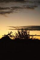 Sunset with burning sky behind the trees. photo