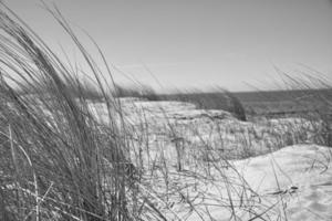 alta duna en el darss. mirador en el parque nacional. playa, mar báltico, cielo y mar. foto