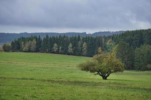 In Saarland forests, meadows and solitary trees in autumn look. photo