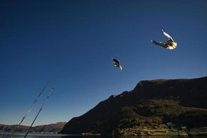 fishing vacation in Selje norway. Rod and reel are ready to fish. a paradise for anglers photo