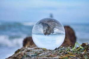 Glass globe on the beach of the Baltic Sea in Zingst in which the landscape is depicted. photo