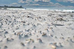 Wave pattern on the beach of the Baltic Sea. The waves leave a pattern in the sand. photo