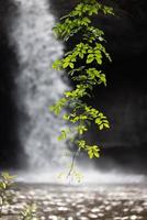 A natural waterfall in a big forest in the midst of beautiful nature. photo