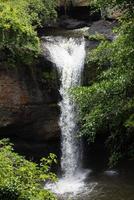 Waterfall in the big forest, beautiful in nature. photo