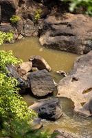 A natural waterfall in a big forest in the midst of beautiful nature. photo