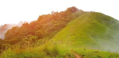 montaña verde y bosque o jungla con luz naranja y niebla. papel tapiz natural y belleza de la naturaleza. foto