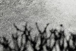 Abstract shadow of tree branches on the grass field background with above copy space in black and white style photo