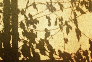 Shadow of branches tree with leaves on brown curtain or wall. Background and Textures concept. photo