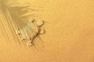 Turtle sand sclupture on a holiday beach made out of beachsand. photo