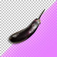 A close-up of the whole eggplant Graphic design element.psd photo