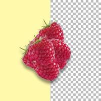 Raspberries isolated on transparent background as package design elements. photo