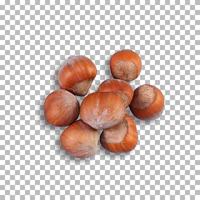 hazelnuts on a isolated transparent background. photo