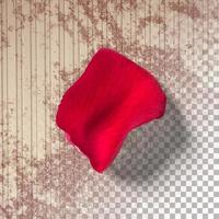 Close up view red rose with petals isolated photo