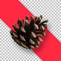 Christmas decoration of pine cone isolated photo