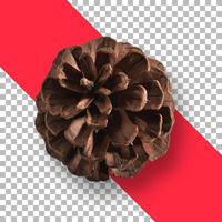 Christmas decoration of pine cone isolated photo