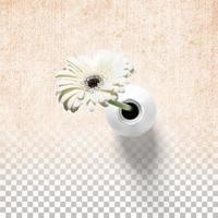 Fresh flowers on white vase isolated photo