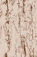 Bark wood texture of apple tree. Average density of cracks. Vector