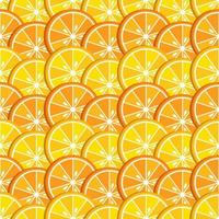 Background with slices of citrus, lemon and orange. Fruits bright composition. Good for branding, decoration of food package, cover design, decorative print, background. vector