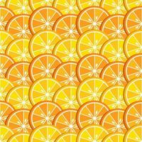 fondo con rodajas de cítricos, limón y naranja. composición brillante de frutas. bueno para la marca, la decoración del paquete de alimentos, el diseño de la cubierta, la impresión decorativa, el fondo. vector