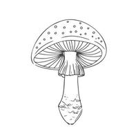 Mushroom black line vector sketch isolate on white background