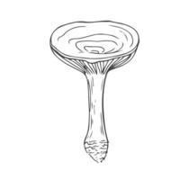 Mushroom black line vector sketch isolate on white background