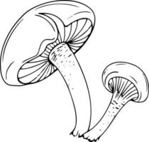 Mushroom black line vector sketch isolate on white background