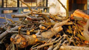cuts of wood image hd photo