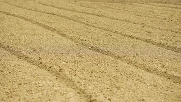manure to enrich the soil photo