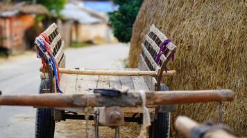 bullock cart in the village image selective focus photo