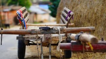 bullock cart in the village image selective focus photo