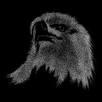 eagle abstract illustration vector