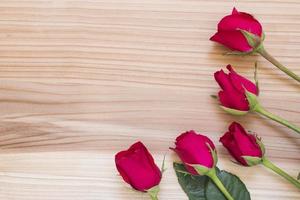 red rose on a wooden texture photo