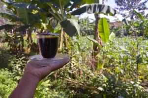 close up of hand holding cup of coffee outdoors photo