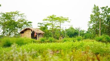 farm house in village india photo