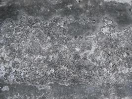 Black and white background image, rough surface, looks like a cement floor. photo